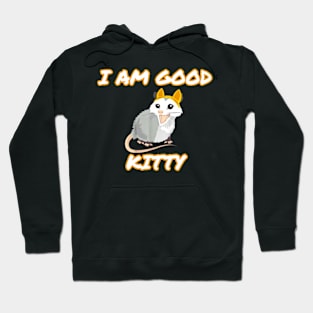 I am Good Kitty Hoodie